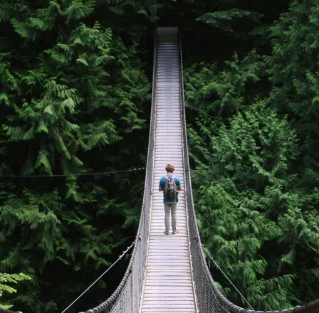 An image of a person crossing a rope bridge into the forest. 