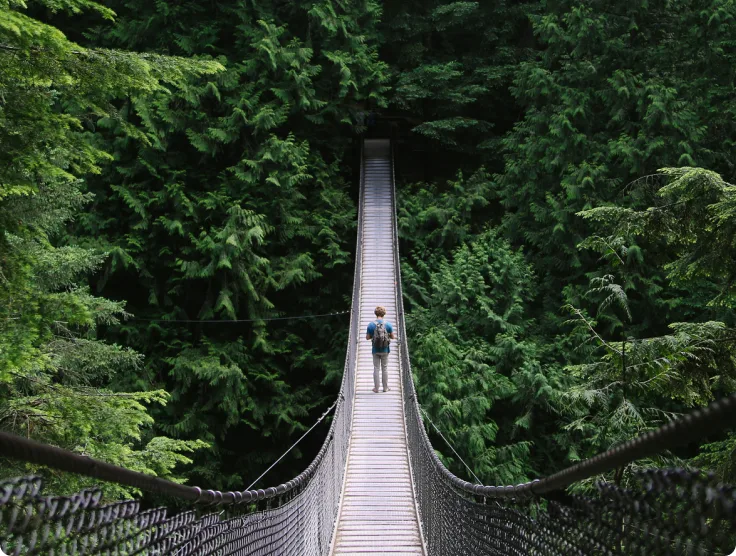 An image of a person crossing a rope bridge into the forest. 