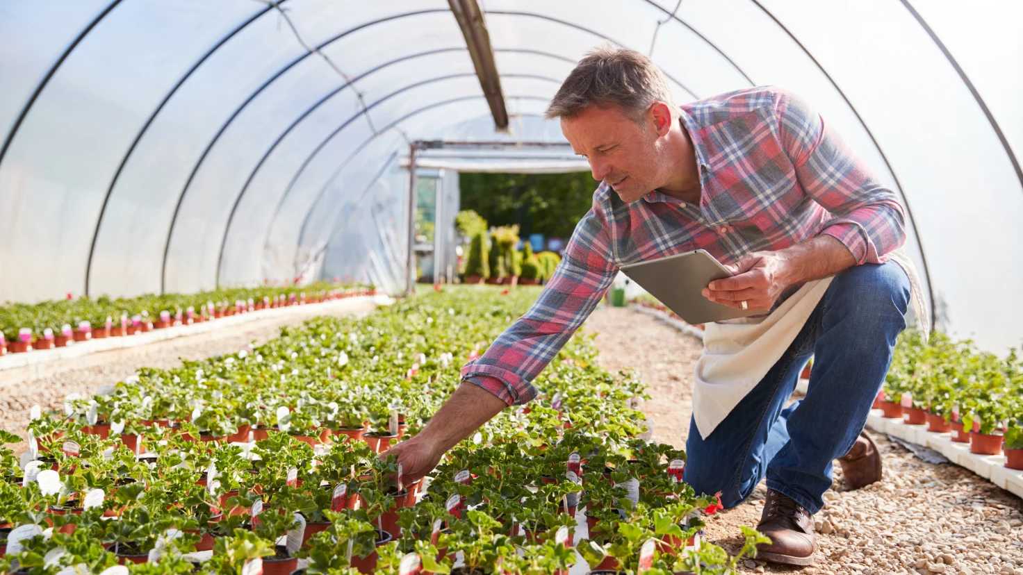 Man caring for a plantation while using a 5G device