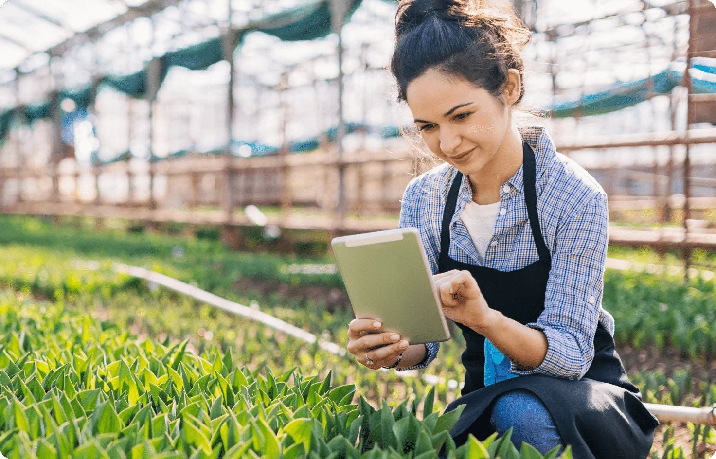 A woman viewing a tablet while working in a garden