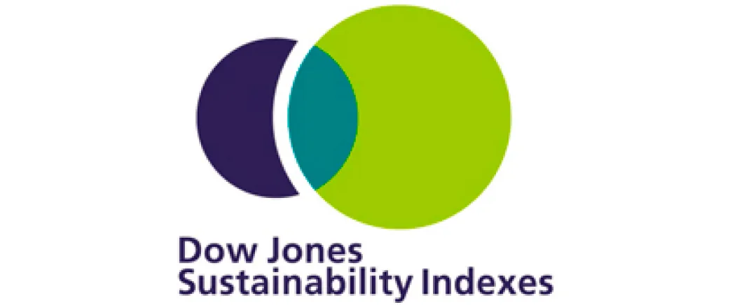 Dow Jones Sustainability Indexes logo