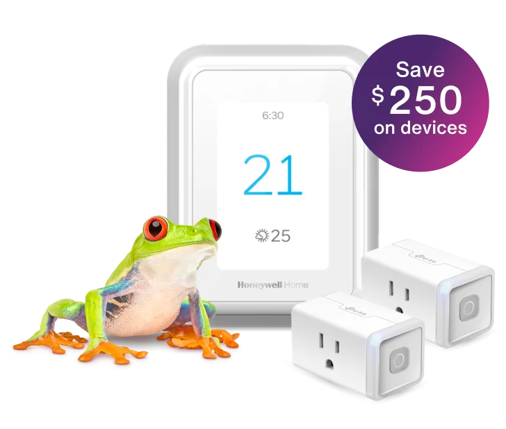 A frog is standing next to a smart thermostat and two smart plugs, displaying a roundel that says, "Save $250 on devices."