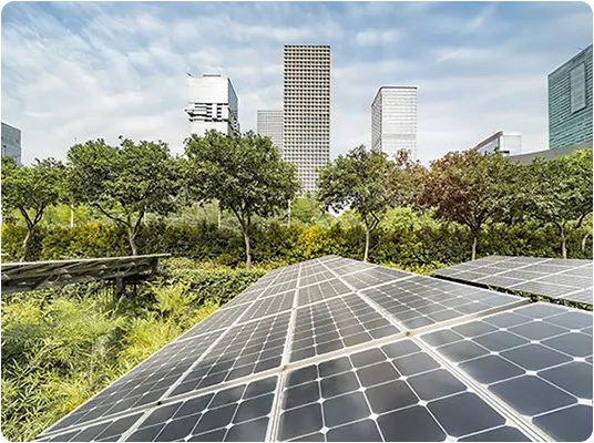 A shot of solar panels in the city with trees in the background